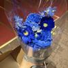 piiyooonn