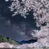 美桜80
