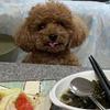 話し相手のゆんみ