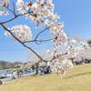 お悩み相談：ひなた