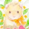 伊達いたち