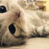 AiRY___