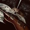 maron_dog
