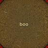 boo211