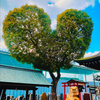 ひだまりPost