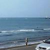 蒼空夏海
