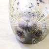 しながわ水族館企画担当