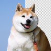 鳴汰naruta