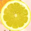 レモンLemon