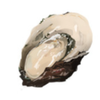 阿部なぽり