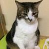 NOBUさん