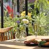 madori cafe