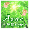 アガペ　玲子