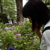 ayame12410
