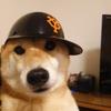 あおしまたろう