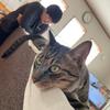 yuko630