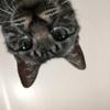 らりりのり