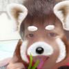 あらぶ龍介