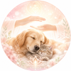 tomochi