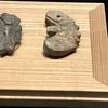 無心要塞パチンカス