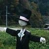 kitsuneco