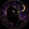 黒猫タロット★