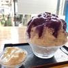 星読　詞乃