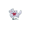 こゆさん。