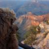 Eii_Tirp
