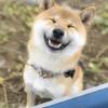 ハッピーラブリー