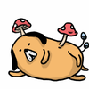 neppeta