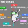 html846