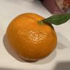 ｶﾅﾉｽｹ