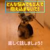 ひろかです