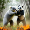 PandaVsKoala