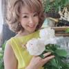 伊志田智子