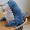たきさん_