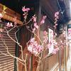 奈良町