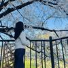 suikaデザイン