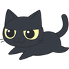 chatNoir611