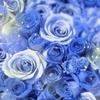 minto＠