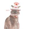pyoru1712