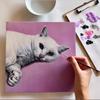 draw_pet