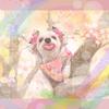 Rukana 癒し波動アーティスト