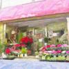 TOKYOFLOWER