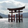 壁打ちと素振り
