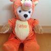 shibainu