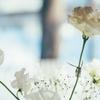 春｜精神科・心療内科の公認心理師