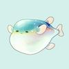 jellyco