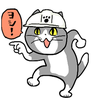 ナオサク